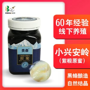 500G瓶裝黑蜂原蜜可OEM/ODM代工