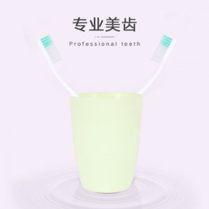 10支裝成人軟毛竹炭牙刷OEM代加工