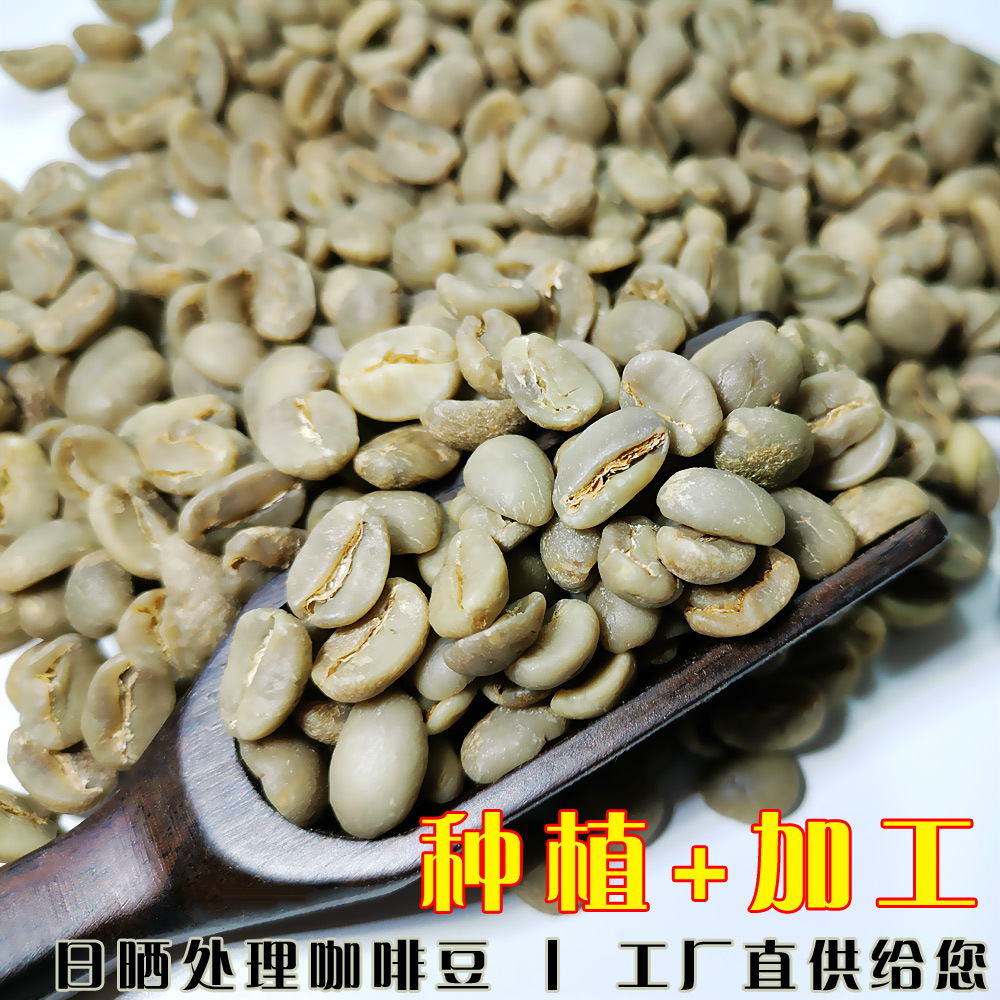 普洱咖啡批發(fā)生豆一級水洗豆新鮮全紅果OEM/ODM定制代加工