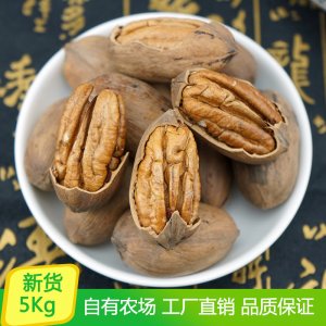 碧根果 長壽果山核桃整箱帶殼零食堅果炒貨原料散裝大果5Kg可OEM/ODM代工