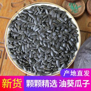 秋鄉油葵500g瓜子年貨小瓜子OEM代加工