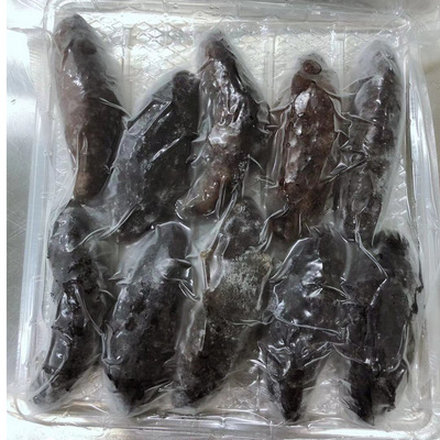 土耳其即食海參極品貼牌OEM/ODM