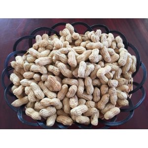 龍巖特產(chǎn)2.5kg蒜味小珍珠花生 休閑零食小吃堅果炒貨類食品OEM代加工