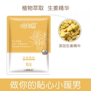麗悅暖貼生姜貼冬季暖貼發熱貼熱帖宮暖腰貼100片可OEM/ODM代工