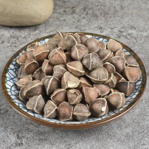 亳州市福恩堂藥業(yè)有限公司