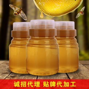 百花蜜棗花蜂蜜OEM/ODM代加工