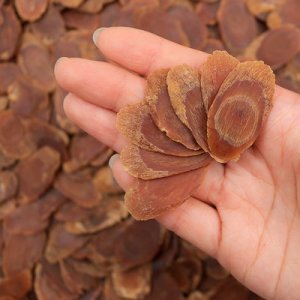 齊鑫藥業(深圳)有限公司