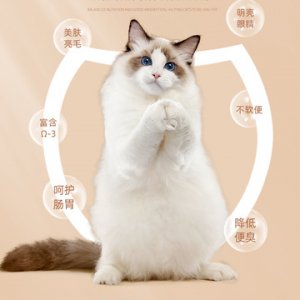 三易全階段貓糧OEM/ODM代加工