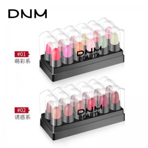 DNM套裝12色口紅OEM/ODM定制代加工