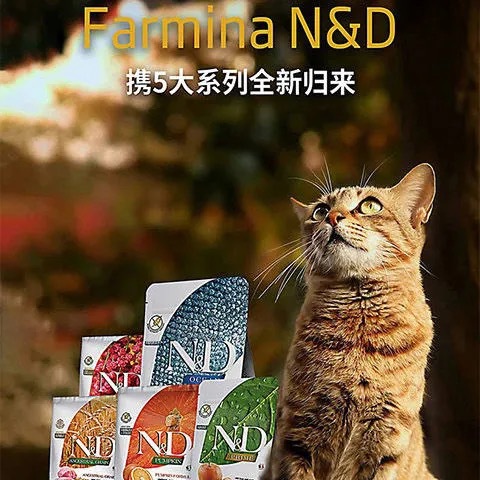 甜橙無(wú)谷成幼貓糧貼牌OEM/ODM 甜橙無(wú)谷成幼貓糧貼牌OEM/ODM