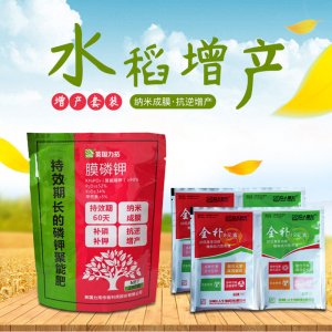 水稻增產(chǎn)葉面肥OEM/ODM代加工