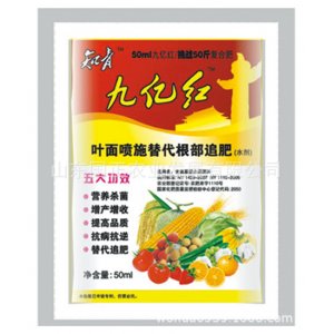 山東國正農業發展有限公司