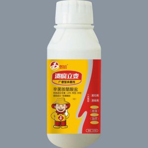 鄭州喜蘭特生物技術有限公司
