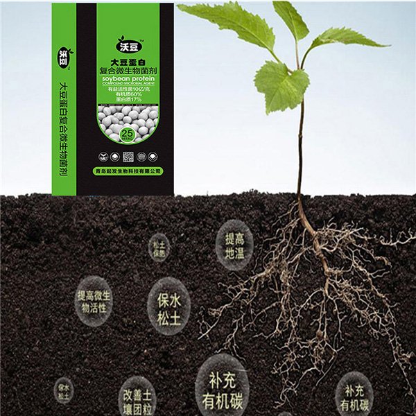 青島起發生物科技有限公司