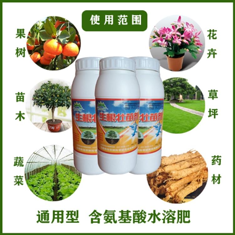 河南新超農業科技有限公司