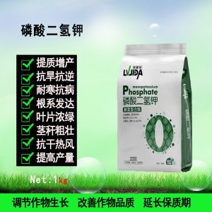 河南豆本行生物技術有限公司