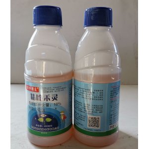 齊齊哈爾盛澤農藥有限公司