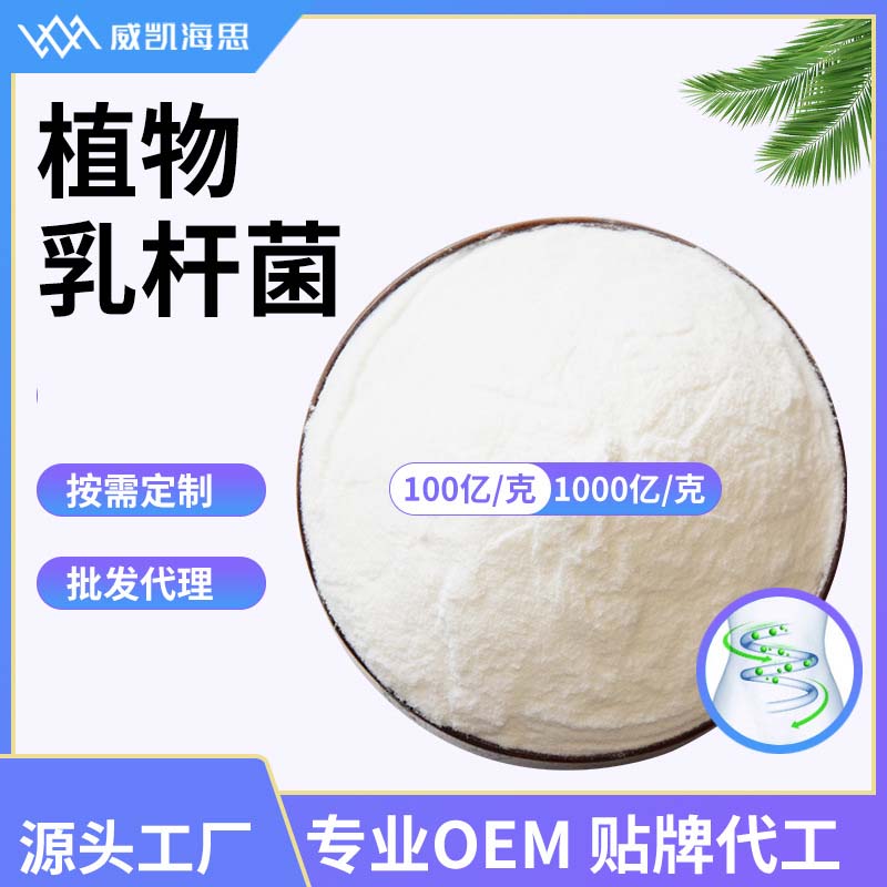 專業植物乳桿菌代加工工廠,盡心竭力為您服務