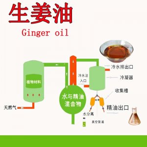 生姜油代加工貼牌OEM/ODM