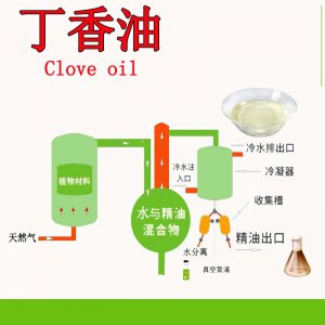 丁香油貼牌定制代加工