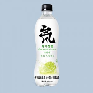安慶元氣森林食品有限公司