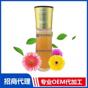 首烏黑發洗發水OEM/ODM定制代加工
