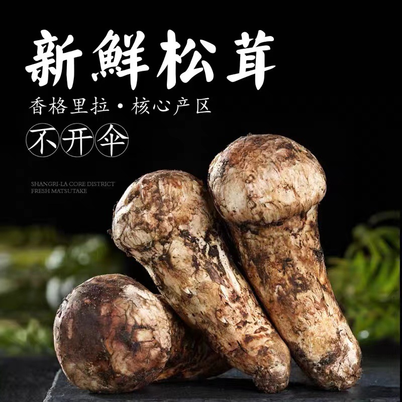云南澤廣生物科技有限公司