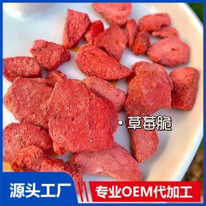 凍干水果脆OEM口味造型可定制零食貼牌代工