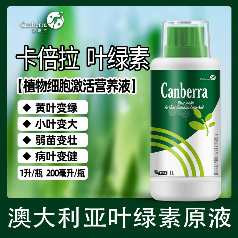植物葉綠素果樹蔬菜快速轉綠專用微量元素貼牌OEM/ODM