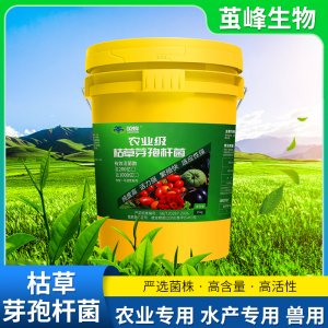 山東繭蜂生物科技有限責任公司