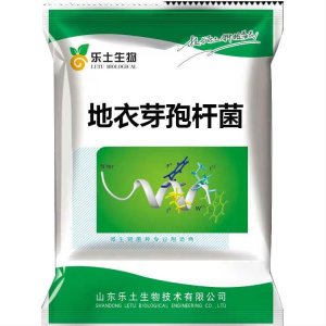 農用 地衣芽孢桿菌代加工貼牌OEM/ODM