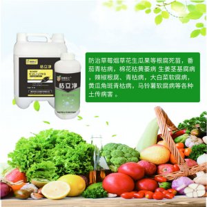 泰安市樂(lè)土生物技術(shù)有限公司
