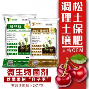田豐化工(山西)集團股份有限公司
