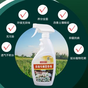 多肉植物專用營養液代加工貼牌OEM/ODM