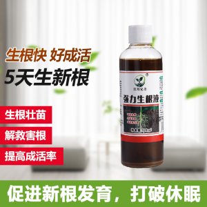 生根劑壯苗發根生根快速生根液OEM/ODM代加工