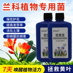 蘭靈王蘭花專用營養液肥料可OEM/ODM代工
