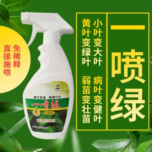 通用型黃葉變綠免稀釋營養液貼牌OEM/ODM
