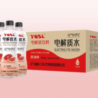 元氣叮叮電解質(zhì)水西柚味OEM代加工