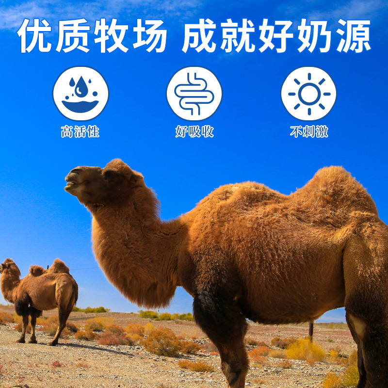 朝阜駝奶鈣片正品益生菌鈣片青少年中老年一件代發源頭工廠OEM代加工