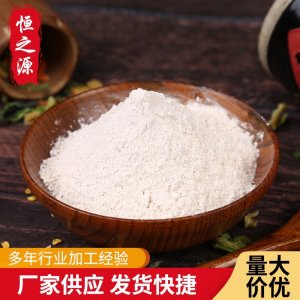 脫水蒜粉調(diào)味料大蒜粉 燒烤腌料蒜香粉供應(yīng)批發(fā) 食品原料大蒜頭粉