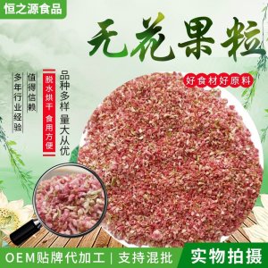 無花果碎廠家批發(fā)供應(yīng)無花果粒烘焙糕點(diǎn)奶茶裝飾使用原料