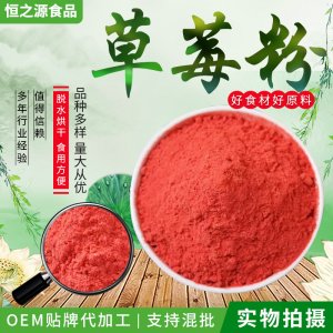脫水草莓粉 烘焙，冰淇淋，奶茶制作用原料粉 現貨供應散裝草莓粉