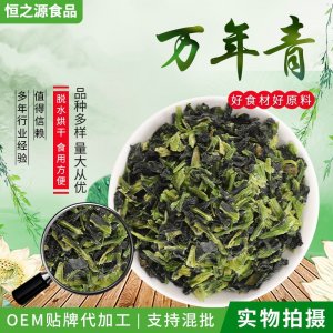 脫水蔬菜萬年青 散裝脫水干菜涼拌菜 脫水菜心 批發(fā)供應(yīng)量大價(jià)優(yōu)