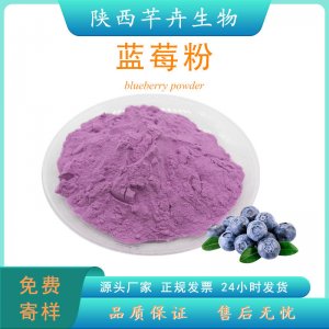 藍莓粉食品級 藍莓提取物 水溶藍莓果粉 藍莓汁 濃縮粉 廠家現貨