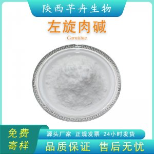 左旋肉堿 99% L-肉堿 左旋肉堿粉食品級(jí) 左旋肉堿1KG包郵