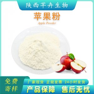 蘋果果粉99%水溶 蘋果濃縮汁粉 水果粉蘋果粉蘋果提取物 廠家現貨