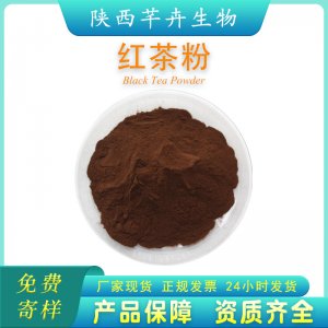紅茶粉99% 速溶紅茶粉 紅茶提取物 紅茶多酚 紅茶濃縮汁粉 包郵