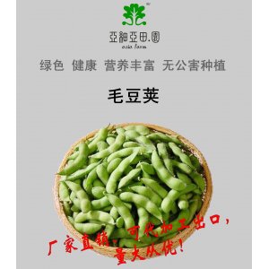 速凍出口毛豆莢，生產工廠，可貼牌加工