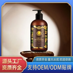 生姜艾液精華滋潤洗發水OEM代加工 洗發水貼牌定制源頭工廠