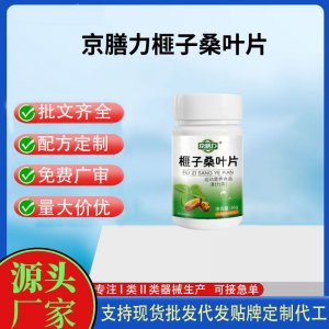 京膳力榧子桑葉片OEM代加工 運動營養食品貼牌定制加工